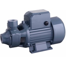 Bomba de Água Periférica Monofásica Bivolt 1 HP com Protetor Térmico 2762BR Gamma Bomba de Água Periférica Monofásica Bivolt 1 HP com Protetor Térmico 2762BR Gamma